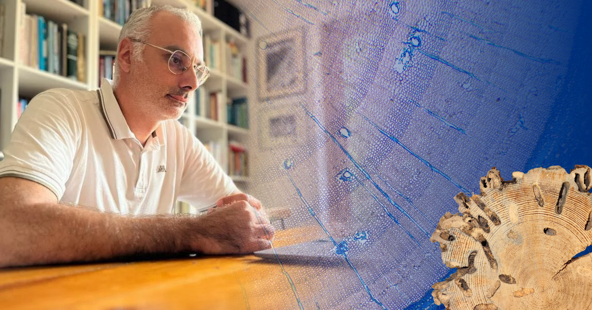 The image shows a man wearing glasses sitting at a wooden table, looking forward with a focused expression. He is dressed in a light-colored polo shirt, and bookshelves filled with books can be seen in the background, suggesting an office or library setting.  On the right side of the image, there is a magnified microscopic view of a bluish structure that resembles a cross-section of plant tissue. In the lower corner, a cross-section of wood is visible, showing growth rings and insect damage. Overall, the image suggests scientific or research work, possibly related to wood science, biology, or material analysis.